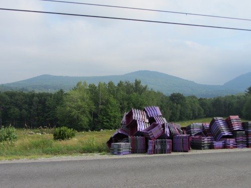 Hope, Maine