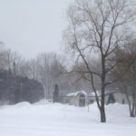 Camden Animal Hospital. In the middle of the blizzard, Camden Maine.