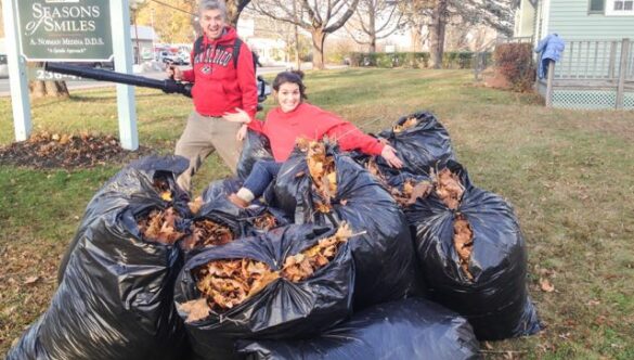 Free leaves for our organic gardeners.
