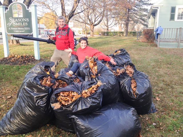 Free leaves for our organic gardeners.