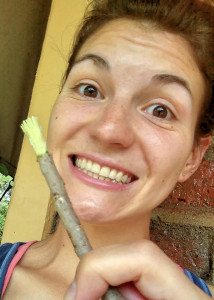 Kenya Greenheart Tree- the new toothbrush!