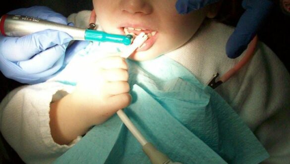 Another great checkup with Miss Emma