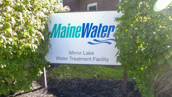 Seasons of Smiles’ Policy on Fluoride Treatment