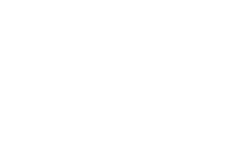 dent1