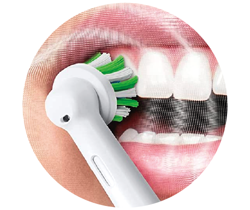 oral1