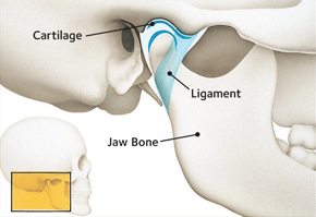 Close-up of TMJ