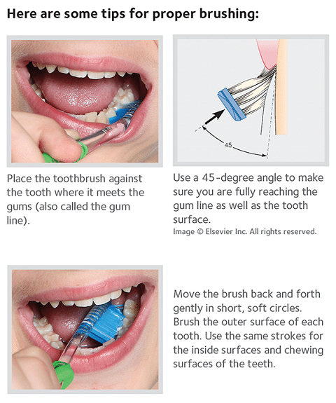Brush tips
