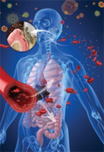Your oral health does affect your overall health. Systemic Connection